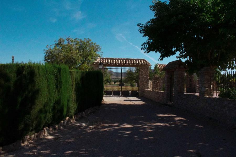 Cortijo De Abajo Villa Puebla De Don Fadrique Exteriör bild